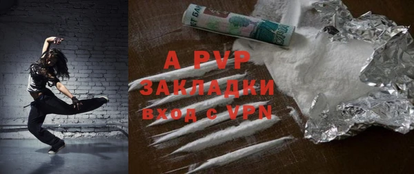 гидра Тайга