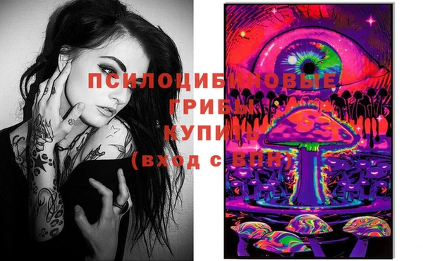 a pvp Вяземский